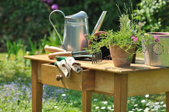 Užitečné tipy pro začátečníky zahradnictví nebo na jaře na zahradě
