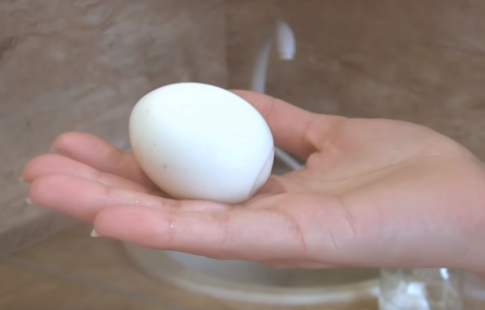 Každý, kdo chce jíst vejce perfektní Gorny! / Foto Zdroj: youtube.com/channel/UCagplR5T275T6em4AQOYNbQ