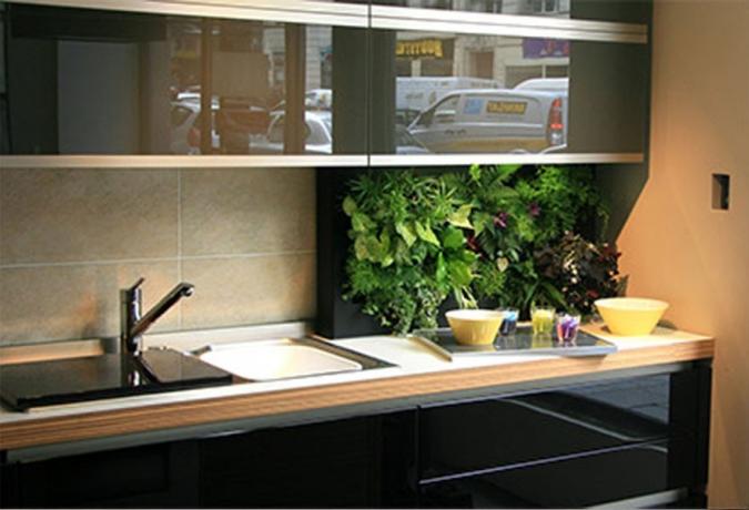 Zelení v kuchyni - čerstvé nápady pro použití domácích rostlin