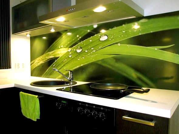 Zelené stěny v kuchyni ze skla (kůže) - rychlé a jasné