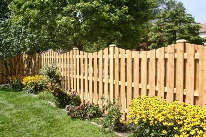 Nečekali jsme, že: instalace plotu v zemi by mohl skončit s pokutou