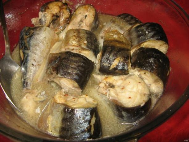 Naservírovat během 10 minut: vařit makrely v mikrovlnné troubě správně