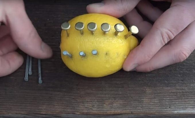  Lemon - tajemný citrus, který může potěšit nejen vitamíny. / Foto: s1.dmcdn.net. 