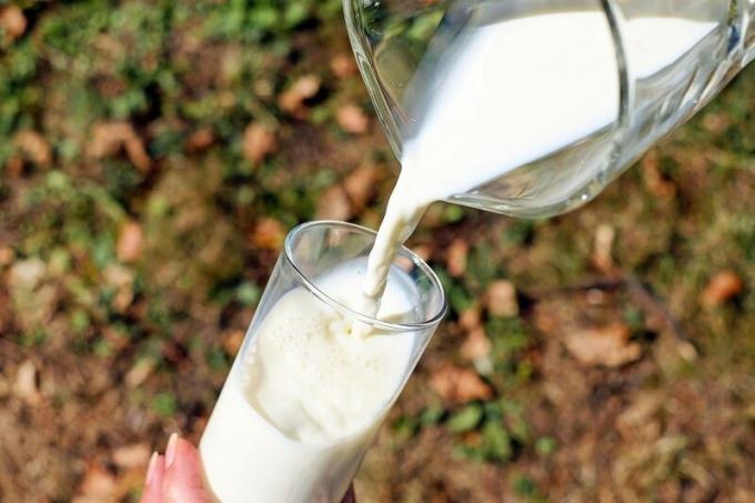 Výhody Garden mléko. Ilustrace k článku používá open source