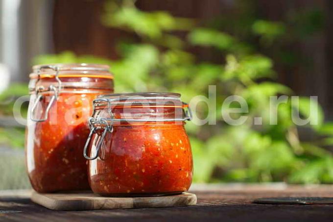 Recept salsa omáčka. Ilustrace pro článek je určen pro standardní licence © ofazende.ru