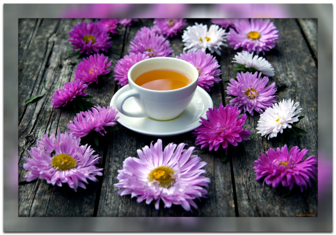 Pro vás užitečné vlastnosti čaje chryzantém a proč je tak populární v čínské stoletých