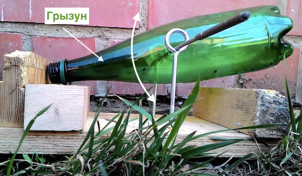 Zbavit myší pomocí domácí past z plastové láhve