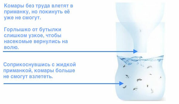 Jak se zbavit komárů v zemi, s použitím domácí past