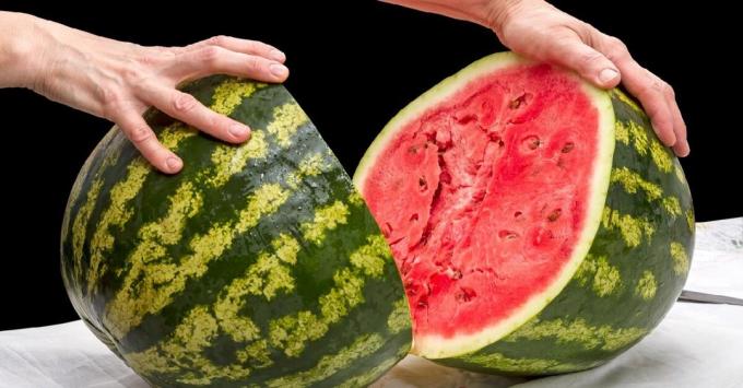 Jak si vybrat zralé a sladké meloun