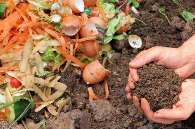 Skořápka - nepostradatelný produkt pro přípravu vysoce kvalitního kompostu