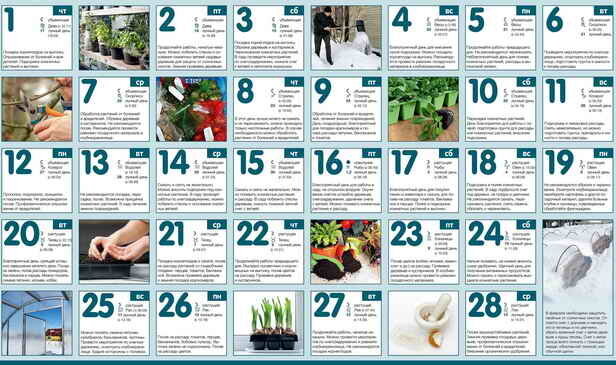kalendář zahradník