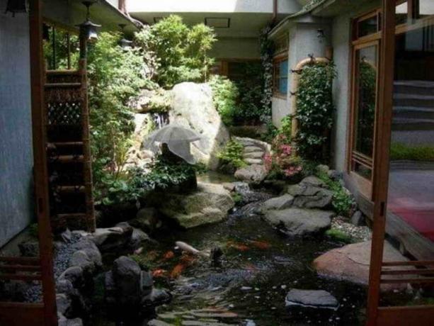 Vodní zahrada ve dvoře: Tipy zahrádkáři