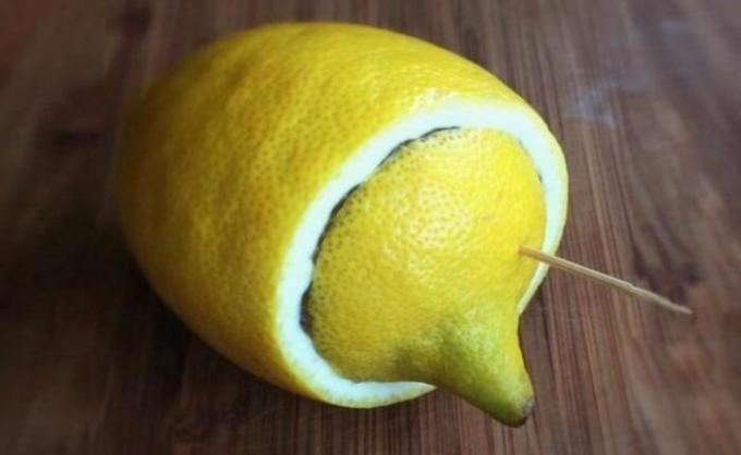 Lemon - dokonalým společníkem, když jdete kempování či rekreaci ve volné přírodě. / Foto: belnovosti.by. 