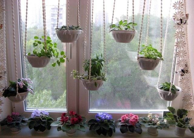 Originální okenní dekorace s rostlinami