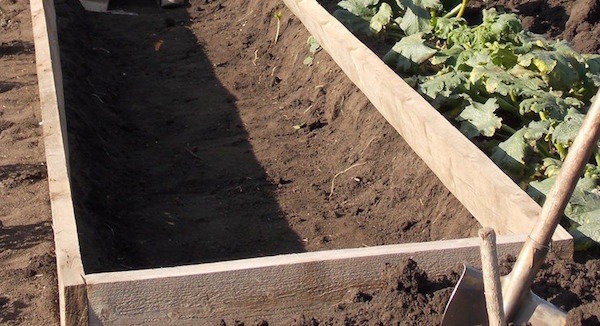 4, způsob aplikace užitečné jehly v zahradě