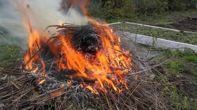 7 věcí, které byste neměli dělat ve své zemi, že nemá problémy se zákonem