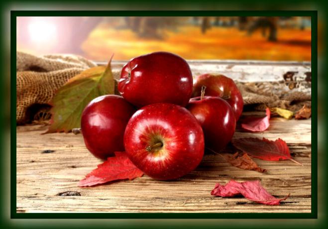 Jak udržet jablka čerstvé na zimu doma
