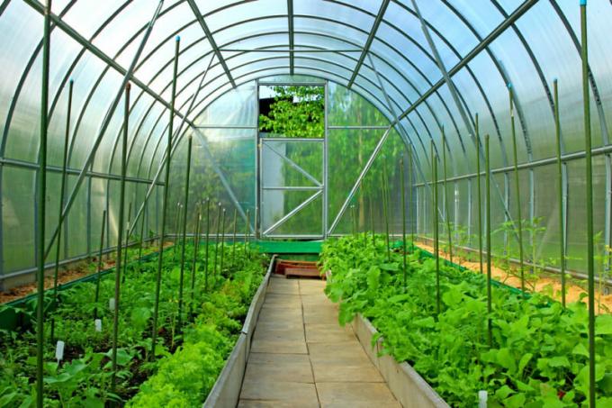 Tvorba lůžek ve skleníku: 5 slušné možnosti