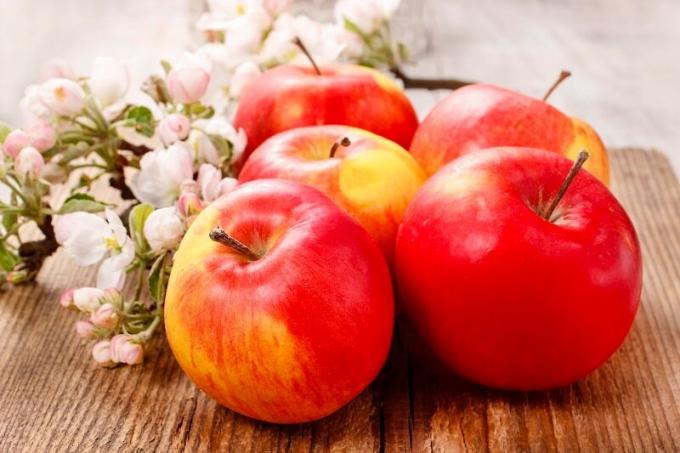 Výsadba a péče o sloupovitý jabloně