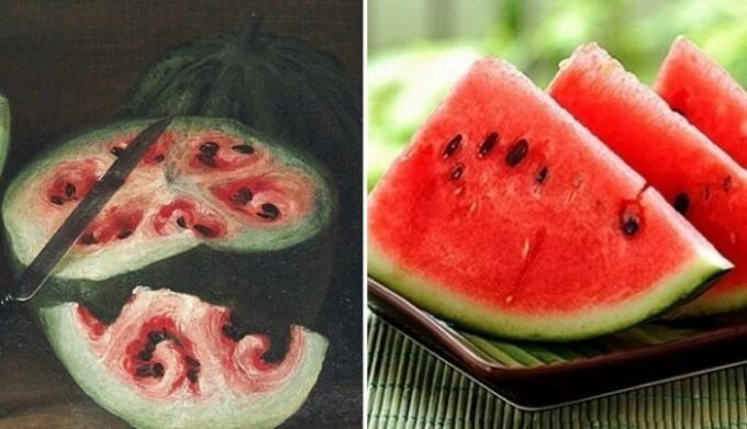  Již několik set let, meloun dramaticky změnila.